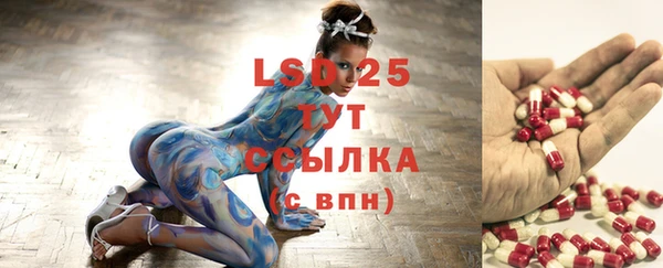 СК Верея